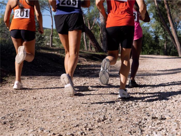 Imagem sem descrição